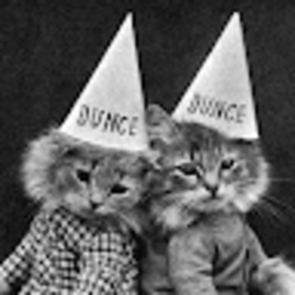 Meet your Posher, Brie - Picture 1 of 1